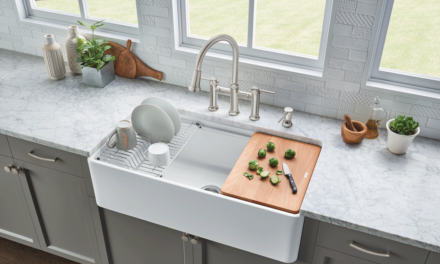 The Perfect Kitchen Update Part 2: Your Sink